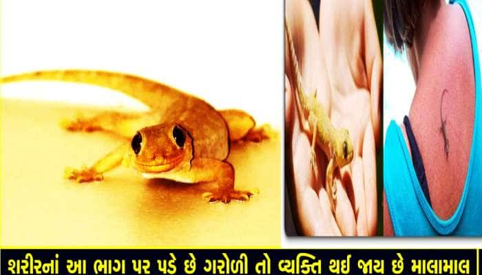 શરીરના આ ભાગો પર ગરોળી પડે તો બેડોપાર! જાણો ગરોળી સાથે જોડાયેલા શુકન અને અપશુકન