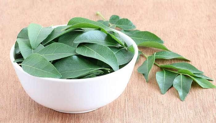 Curry Leaves: સવારે ચાવીને ખાઈ લેવા આ પાન, પેટની બીમારીથી લઈ ત્વચાની સમસ્યા થશે દુર