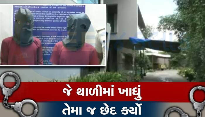 નમક હરામ નોકર : ખાતરી કર્યા વગર નોકર રાખતા હોવ તો ચેતી જજો, માલિકની તિજોરી ખાલી કરી