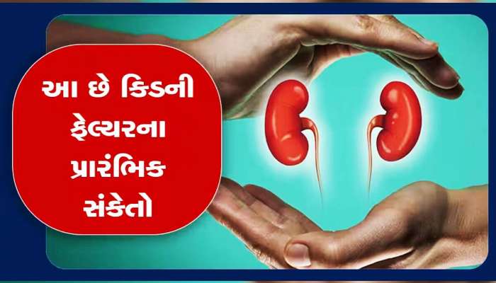 યુવાવસ્થામાં જ છોડી દો આ ચીજોનું સેવન, નહીં તો જલ્દી ખરાબ થઈ જશે કિડની