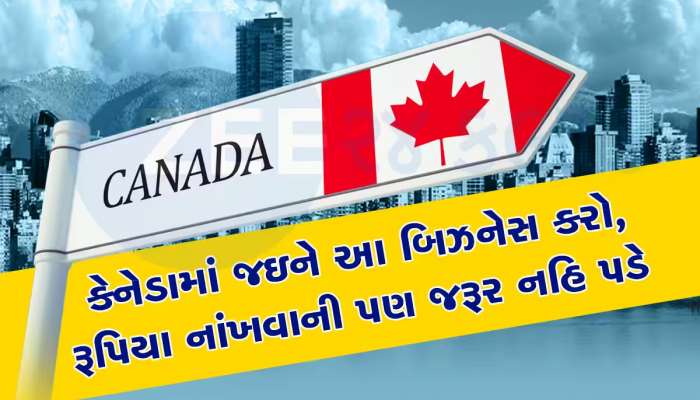 Job in Canada: 10 લાખથી  50 લાખનો પગાર, જાણો કેનેડામાં ગુજરાતીઓ શું કામ કરે છે? કેવી રીતે મળે છે નોકરી
