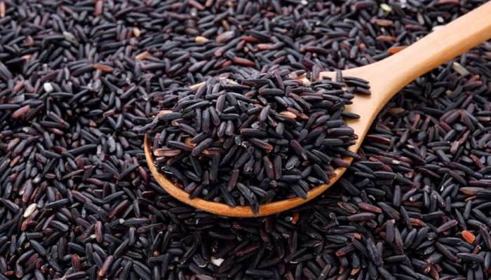 Astro Tips: પીળા અને સફેદ જ નહીં કાળા ચોખા પણ બદલી શકે છે ભાગ્ય, અચૂક ટોટકાથી દુર થશે દરેક સમસ્યા