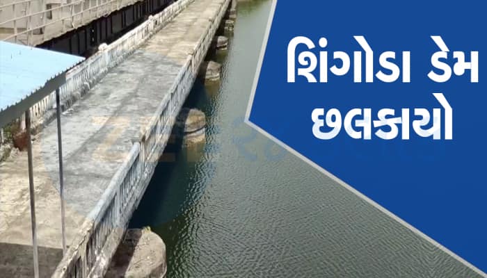 હવે સોરઠમાં નહિ રહે પાણીની તંગી, ગીર સોમનાથની જીવાદોરી ગણાતો શિંગોડા ડેમ ઓવરફ્લો 