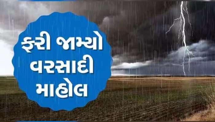  ગુજરાતના ચાર જિલ્લામાં ભારે પવન સાથે ધોધમાર વરસાદ; યાત્રાધામ અંબાજીમાં ફરી રસ્તા બન્યા નદીઓ!