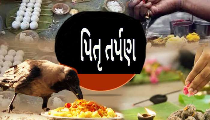 પૂર્વજોને તૃપ્ત કરવા આ રીતે કરો પિતૃ શ્રાદ્ધ, જાણો મહત્ત્વ અને પૂજાવિધિની સાચી રીત
