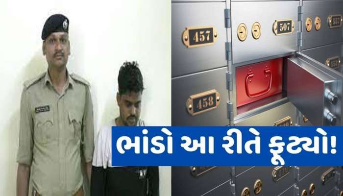 વાપીમાં વાડ જ જીભડા ગળે...તે કહેવત સાચી ઠરી! જાણીતી બેન્કના મેનેજરે આ રીતે લાખોની કરી ગોબાચારી