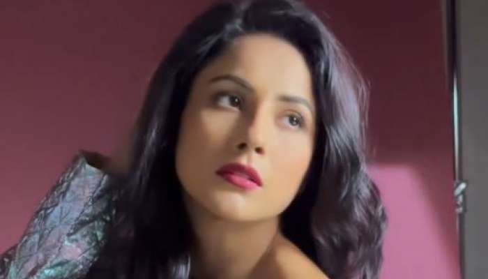 ક્રોપ ટોપમાં શેહનાઝ ગીલની સેક્સી અદા, ફેન્સને પરસેવો વળી ગયો!