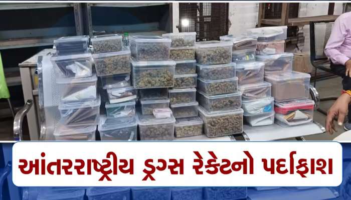 ગુજરાતમાં ડ્રગ્સ ઠાલવવાની નવી મોડસ ઓપરેન્ડી; આ રીતે ઓર્ડર આપીને વિદેશમાંથી મેળવાતું, લિક્વિડ ફોર્મમાં સૂકવીને...!