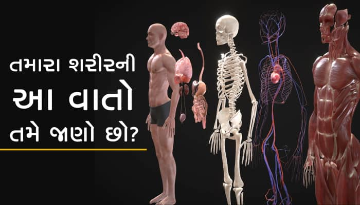 તમારા શરીર વિશેની આ વાતો તમને જ ખબર નહીં હોય!, મગજ ચકરાવે ચઢશે...