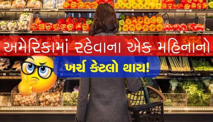 અમેરિકામાં રહેતા પાટીદાર પરિવારે શેર કરી આ માહિતી, મહિનાનો કરિયાણાનો ખર્ચ આટલો થાય