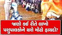Gujarat News: ગુજરાતમાં પશુ આરોગ્ય સેવાનો વ્યાપ વધારવા લેવાયો મહત્વપૂર્ણ નિર્ણય