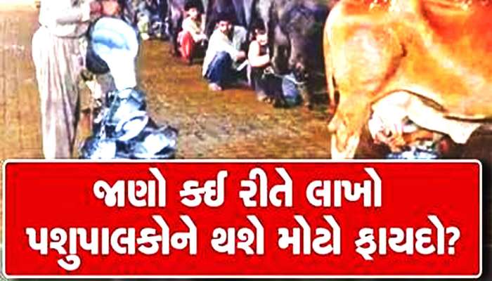 Gujarat News: ગુજરાતમાં પશુ આરોગ્ય સેવાનો વ્યાપ વધારવા લેવાયો મહત્વપૂર્ણ નિર્ણય