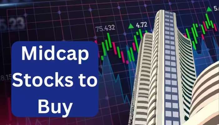 ફેસ્ટિવ સીઝનમાં Midcap Stocks થી ચમકાવો પોર્ટફોલિયો, એક્સપર્ટે પસંદ કર્યા 3 શેર