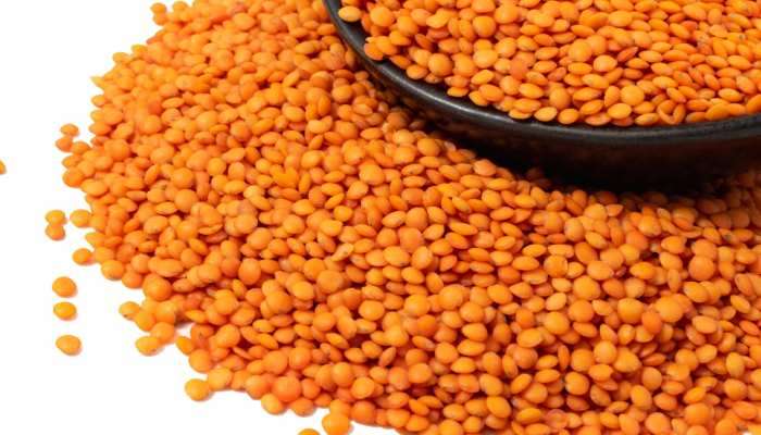 Masoor Dal Benefits: આ પાંચ કારણોને લીધે દરરોજ ખાવી જોઈએ પ્રોટીનથી ભરપૂર મસૂર દાળ