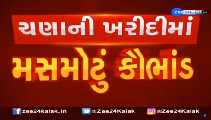 લોકોના સ્વાસ્થ્ય સાથે ચેડા? સરકારી અનાજના ગોડાઉનમાં ચણાનો જથ્થો લેબમાં ફેલ, થયો મોટો ખુલાસો