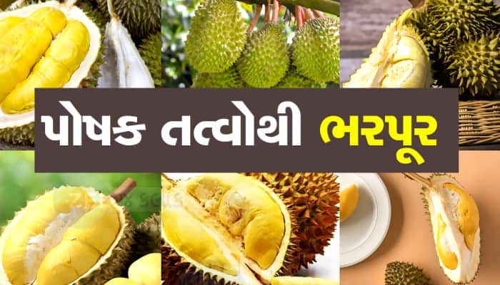 Durian: જેકફ્રૂટ જેવું દેખાતા આ ફળ એકવાર જરૂર ખાજો, અગણિત છે ફાયદા