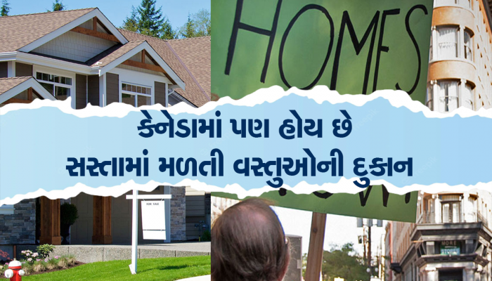 કેનેડા કારણ વગર બિસ્તરા પોટલા ઉંચકીને ન લઈ જતા, અહી માત્ર 50 ડોલરમાં મળશે બધો સામાન