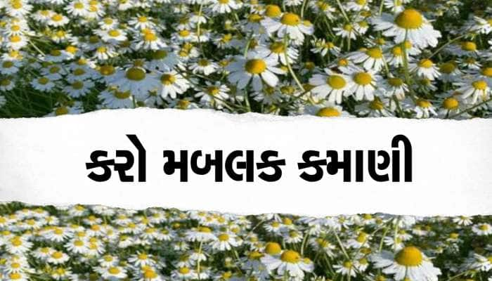 આ જાદુઈ ફૂલ તાબડતોબ બનાવી દેશે કરોડપતિ! જાણો કેવી રીતે શરૂ કરી શકાય બિઝનેસ