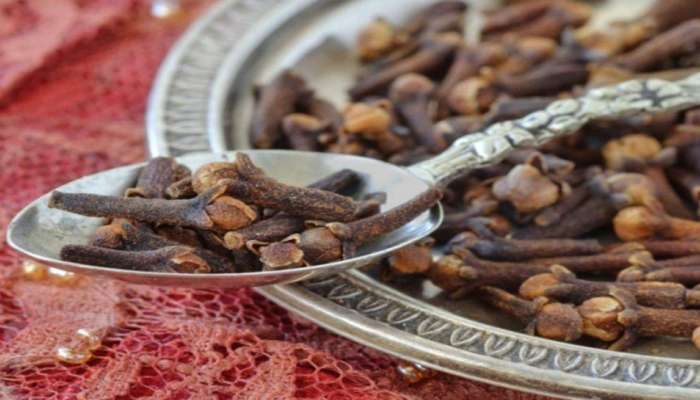 Navratri Totke: નવરાત્રિ દરમિયાન કરી લો લવિંગનો આ સરળ ઉપાય, થઈ જશો માલામાલ