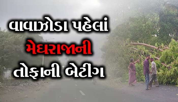 Rain Update: ભારત-પાકિસ્તાન ક્રિકેટ મેચ વચ્ચે સૌથી માઠા સમાચાર; આ જિલ્લામાં બરબપોરે શરૂ થયો વરસાદ