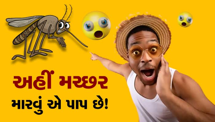 અહીં મચ્છર મારવું પાપ છે!, મેલેરિયા થાય તો પણ નથી મારવા દેતા લોકો...