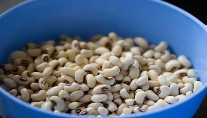 Lobia Benefits: ઈંડા અને ચિકન કરતાં પણ વધારે પ્રોટીન હોય છે આ કઠોળમાં, જાણો તેના લાભ વિશે