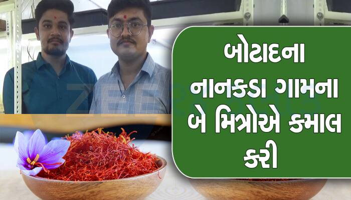 બે ગુજ્જુ મિત્રોએ ગુજરાતની ધરતી પર શક્ય નથી તેવા લાખોના ફૂલની ખેતી કરી 