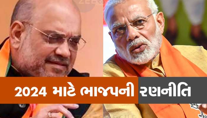 BJP એ આગામી લોકસભા ચૂંટણી માટે બનાવ્યો ખાસ પ્લાન, આ 17 બેઠકોને રાખી રેડ ઝોનમાં 