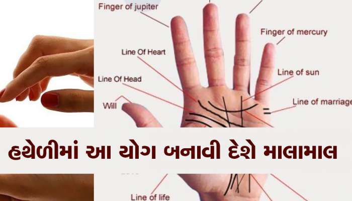 Palmistry: તમારી હથેળીમાં ભદ્રયોગ અને શશયોગ તમને બનાવી દેશે કરોડપતિ, આ રીતે કરો ચેક