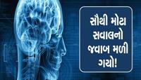 શાકાહારી લોકોમાં સૌથી વધુ રહે છે બ્રેન સ્ટોકનો ખતરો? જાણો શું કહે છે એક્સપર્ટ?