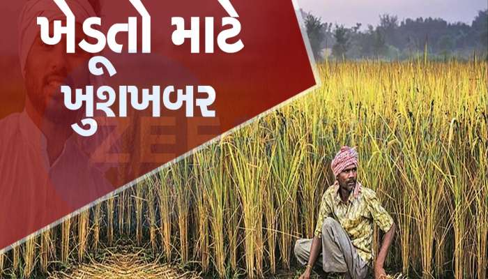 ખેડૂતોની આવકમાં વધુ વધારો થશે, સરકારે ઘઉં અને મસૂર સહિત 6 રવિ પાક પર MSP વધારી
