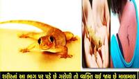 Lizard: શરીર પર ગરોળી પડવાના આ છે લાભાલાભ, જાણી લો કયાં થશે નુક્સાન અને ક્યાં ફાયદો