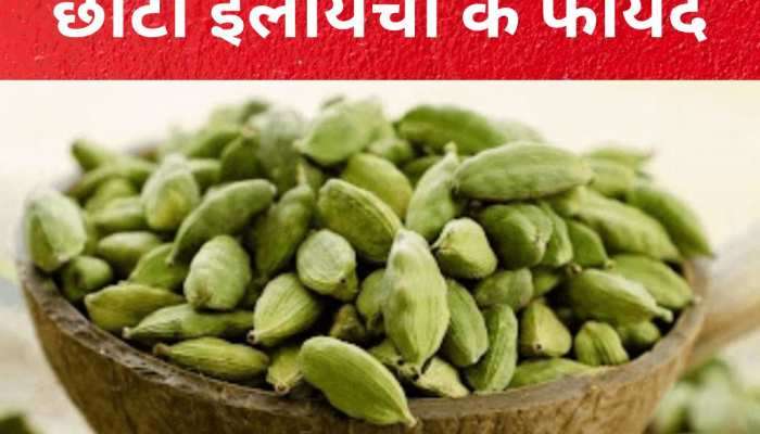 Cardamom: માઉથ ફ્રેશનર માટે જ નહી, આ કારણોથી પણ ચાવો નાની ઇલાયચી, મળશે જોરદાર ફાયદા