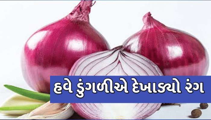 ગૃહિણીઓને વધુ એક ઝટકો! હવે ડુંગળીના ભાવમાં આગ ઝરતી તેજી, મોંઘી બની ગરીબોની કસ્તુરી