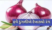ગૃહિણીઓને વધુ એક ઝટકો! હવે ડુંગળીના ભાવમાં આગ ઝરતી તેજી, મોંઘી બની ગરીબોની કસ્તુરી