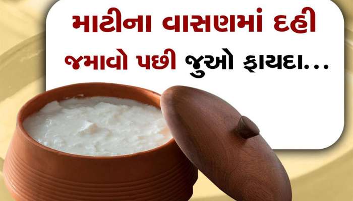 શું તમે જાણો છો કેમ માટીના વાસણમાં જમાવાય છે દહીં? ફાયદા જાણીને વિશ્વાસ નહીં થાય