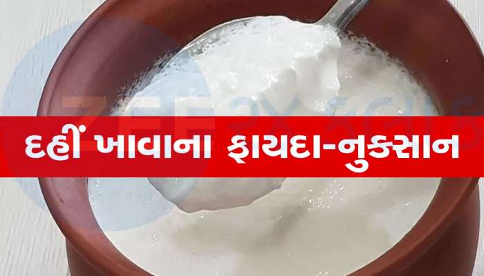 શું રોજ દહીં ખાવું નુકસાનકારક છે?, જાણો શું કહે છે નિષ્ણાતો