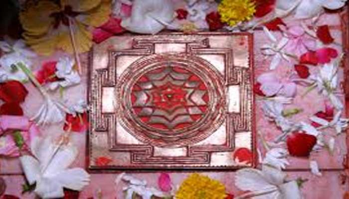 Navami Upay: જીવનમાં સુખ-સમૃદ્ધિ માટે નવમી પર કરો આ ઉપાય, દરેક સમસ્યા થશે દુર