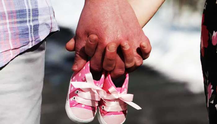 Pregnancy: બેબી પ્લાનિંગ કરતા પહેલાં જાણી લેજો આ વાત, નહીં ખાવા પડે દવાખાનાના ધક્કા