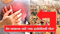 ગરબા રમતી વખતે કેમ આવી રહ્યા છે હાર્ટએટેક? એક્સપર્ટ્સ શું કહે છે ખાસ જાણો