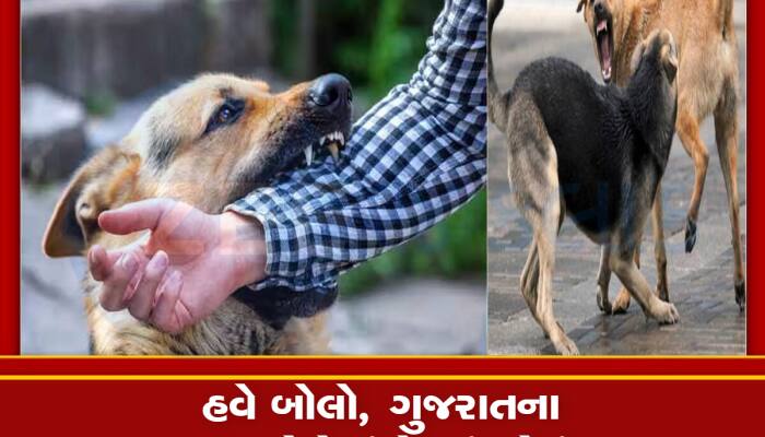 આ અમે નહિ સરકારી આંકડા કહે છે કે, 3 વર્ષમાં ગુજરાતમાં 12,55,066 લોકોને કુતરા કરડ્યા