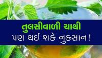 ચાના રસીયાઓ...તુલસીવાળી ચાના પણ છે ગેરફાયદા, પુરુષો ખાસ જાણે, નહીં તો પસ્તાશો