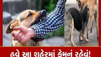 હવે કેમનું બહાર નીકળવું આ શહેરમાં! રોજના 65 કેસ, આખા ગુજરાતમા  રખડતા શ્વાનનો આતંક