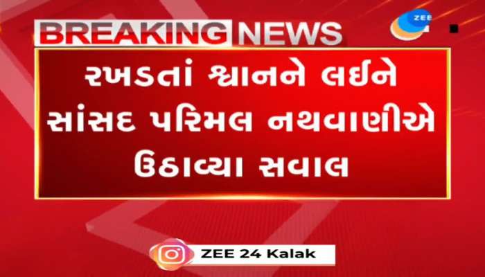 શહેરોમાં શ્વાન કરડવાની ઘટનાઓમાં વધારો થયો: પરિમલ નથવાણી