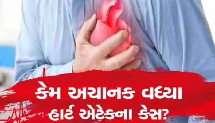 Heart Attack: ' તહેવારોમાં આ ઘી ખાતા પહેલા સાવધાન, ' હાર્ટ એટેક' ને ઘરે આપશો આમંત્રણ