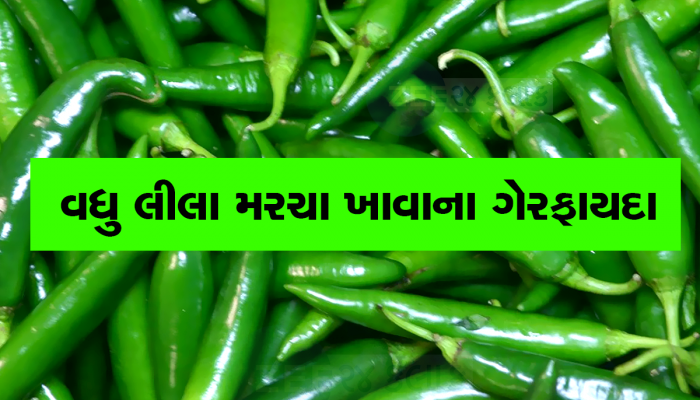 લીલા મરચાં નથી ખાતા તો આજે જ ખાવાનું શરૂ કરી દો, એક દિવસમાં આટલા ખાવા જોઇએ મરચાં?
