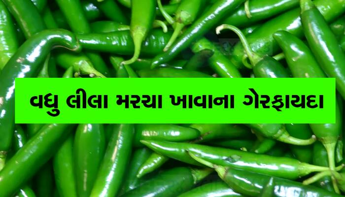 લીલા મરચાં નથી ખાતા તો આજે જ ખાવાનું શરૂ કરી દો, એક દિવસમાં આટલા ખાવા જોઇએ મરચાં?