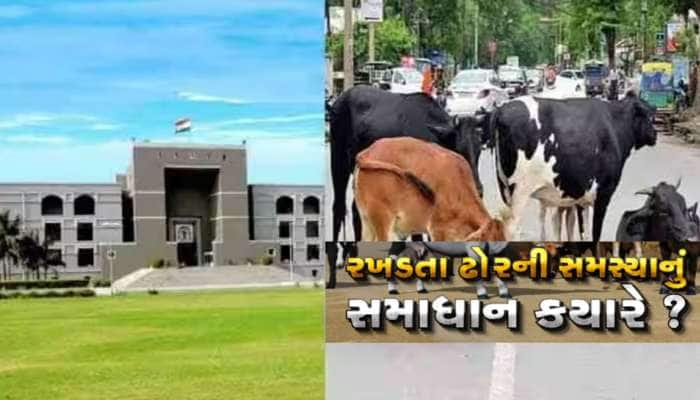 જો તમારી હાજરીમાં ટીમોને ભાગવું પડે તો તમારા ખભે સ્ટાર શું કામ લગાવ્યા છે: HC