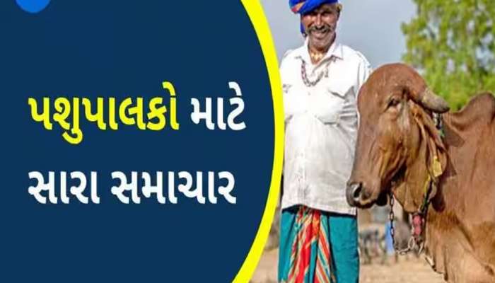 ગુજરાતના પશુપાલકોને દિવાળી ફળી! સાબરડેરીએ દૂધના ભાવમાં કર્યો જબરદસ્ત વધારો, જાણો લેટેસ્ટ ભાવ