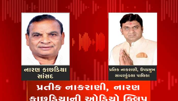 ભાજપના સાંસદ નારણ કાછડિયા આવ્યા વિવાદમાં, જમાઈની કંપની માટે પાલિકાના ઉપપ્રમુખને ધમકાવ્યા